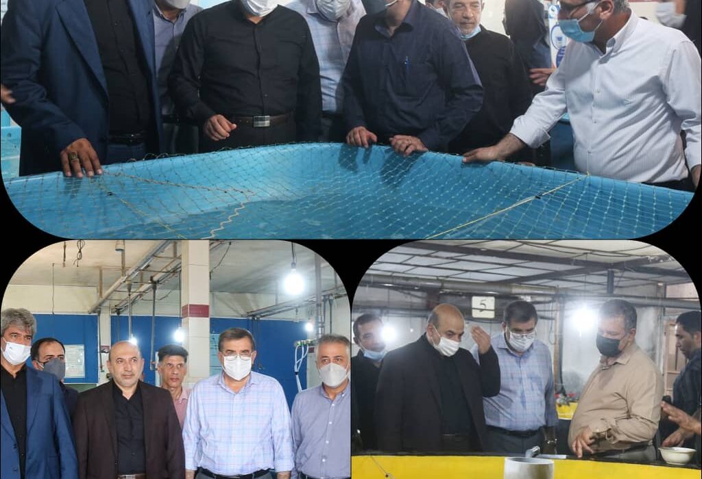 دستیابی به بیوتکنیک بچه ماهی سی باس آسیایی در خوزستان