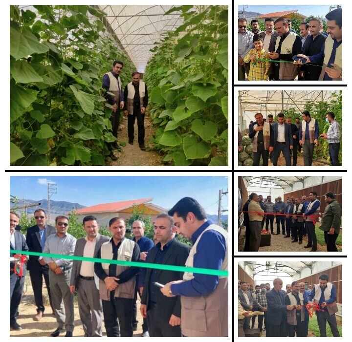 افتتاح طرح‌های کشاورزی به مناسبت هفته دولت در شهرستان ایذه