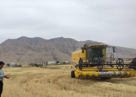 مدیر جهاد کشاورزی ایذه از خرید حدود ۳۳۰۰۰ تن گندم مازاد بر نیاز گندمکاران شهرستان ایذه خبر داد