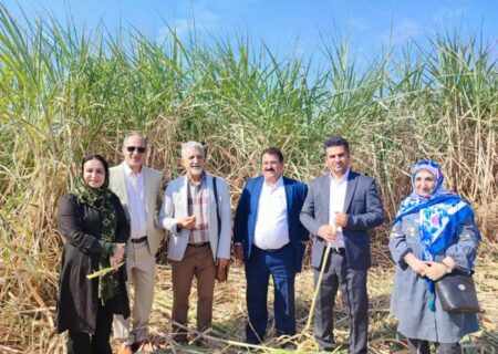 خالق «صد دانه یاقوت» در اختتامیه شکرستان ادبی؛ مصطفی رحمان‌ دوست در جشنواره شکرستان چه گفت؟ / پایان کار یک جشنواره شیرین