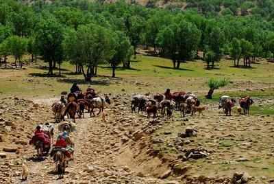 عملیات نقشه‌برداری ایلراه مهم عشایری بانا در شهرستان ایذه پس از صدور مجوز منابع طبیعی آغاز شد.