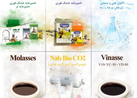 شرکت خمیر مایه الکل رازی