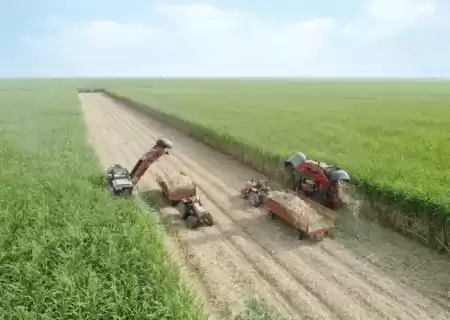 برداشت نیشکر از ابتدای فصل، ۱۰۰ درصد سبز انجام شده است/ امسال ناوگان برداشت نیشکر با ۹ هاروستر جدید تقویت شد